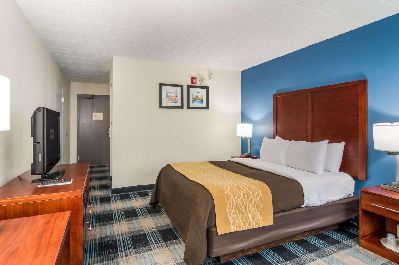 Montrose Hill Comfort Inn & Suites מראה חיצוני תמונה