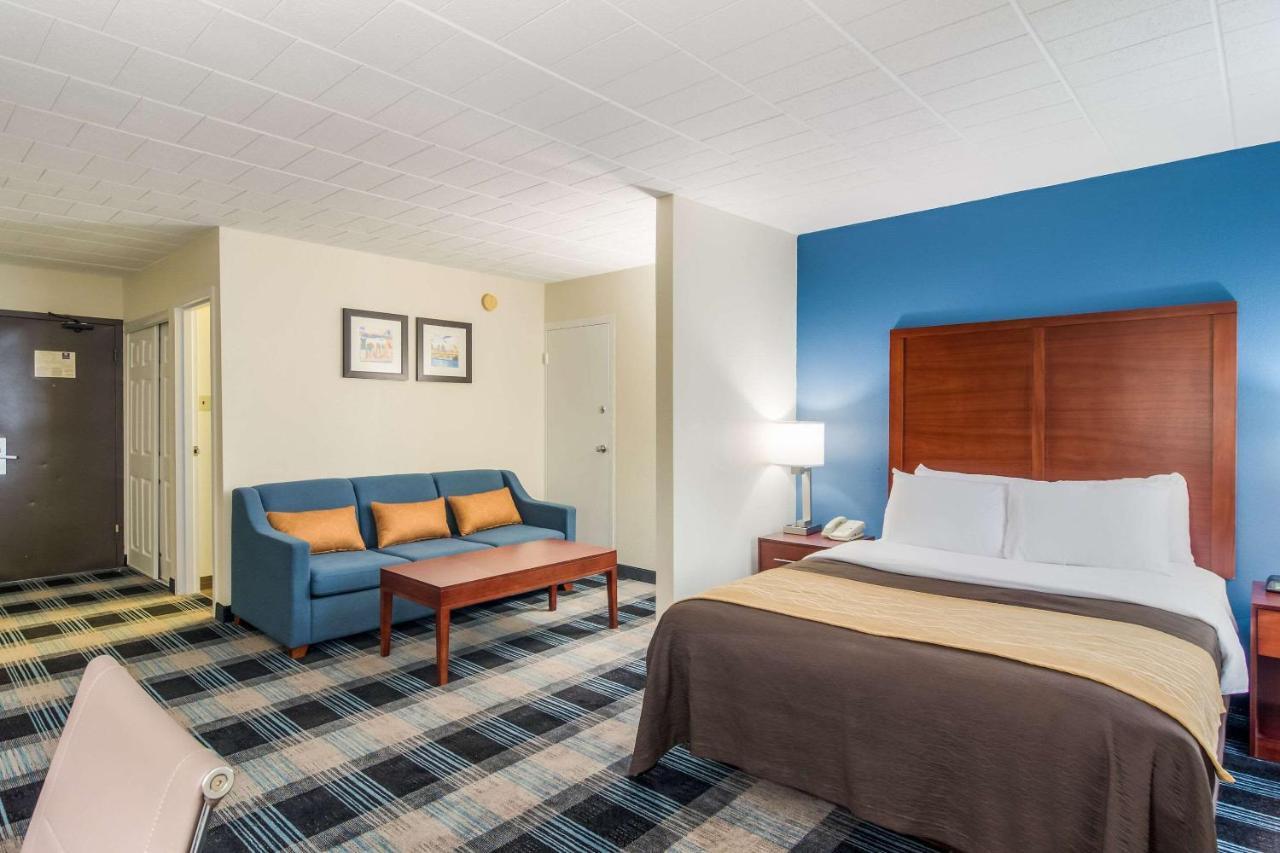 Montrose Hill Comfort Inn & Suites מראה חיצוני תמונה